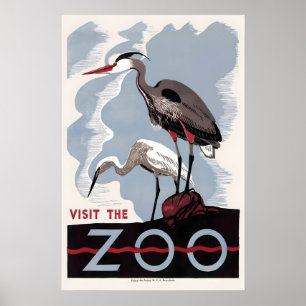 Affiche Herron Butor d'Amérique Zoo Oiseau Publicité