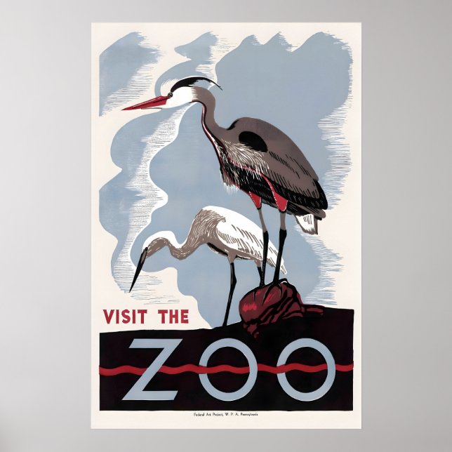 Affiche Herron Butor d'Amérique Zoo Oiseau Publicité (Devant)