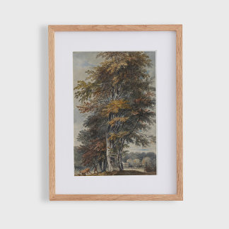 Affiche Hêtre, homme, bétail et moutons, vintage