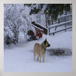 Affiche Heure d'hiver....