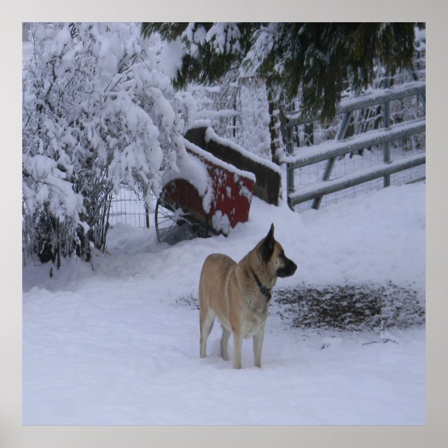 Affiche Heure d'hiver.... (Devant)