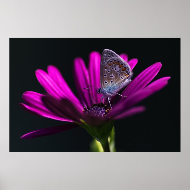 Affiche Heure du déjeuner (Devant)