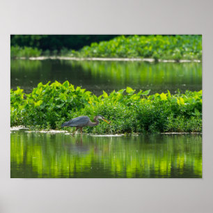 Affiche Heure du repas de la langouste