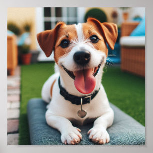 Affiche heureux et souriant Jack Russell Terrier