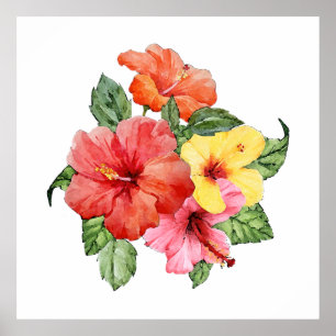 Affiche Hibiscus