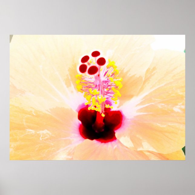 Affiche Hibiscus (Devant)