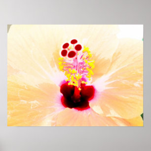 Affiche hibiscus