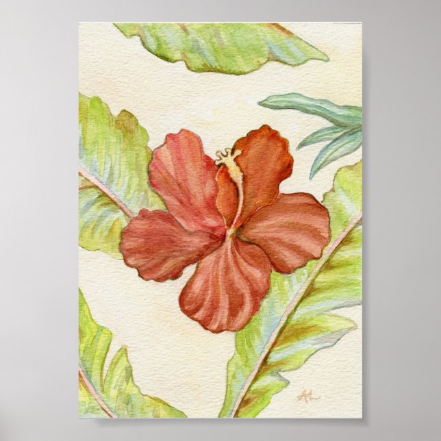 Affiche Hibiscus Art Print 5x7 (Devant)