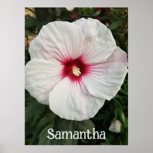 Affiche Hibiscus blanc personnalisable avec Hot Pink Cente
