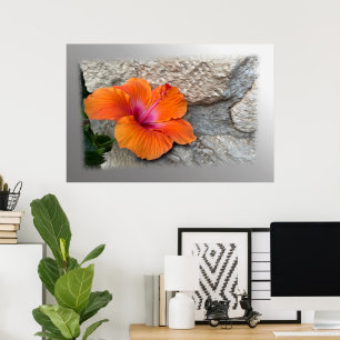 Affiche hibiscus en floraison