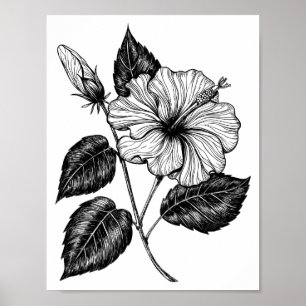Affiche Hibiscus fleur II