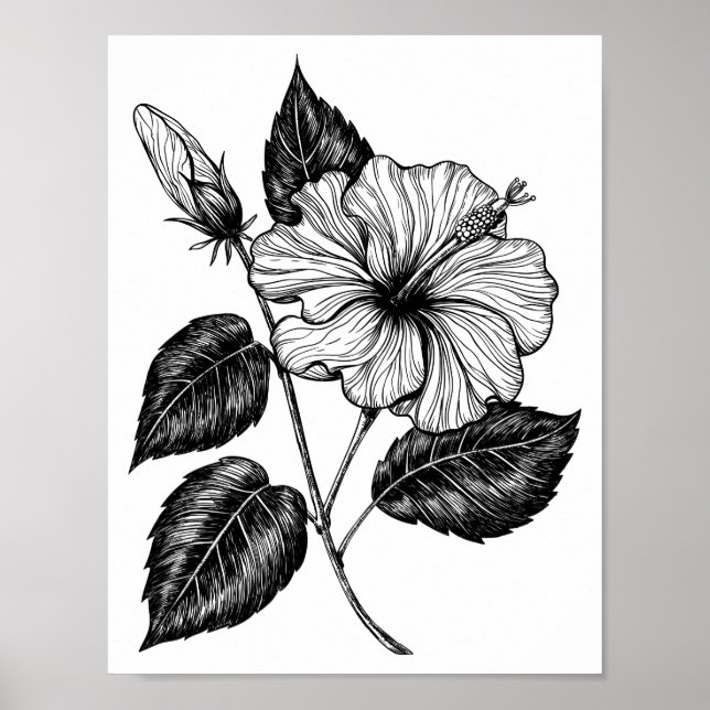Affiche Hibiscus fleur II (Devant)