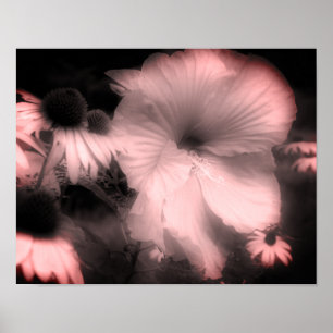 Affiche Hibiscus Fleur Noir Et Blanc Tint