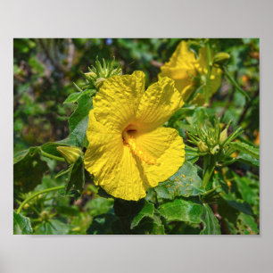 Affiche Hibiscus jaune Fleur d'État Hawaii