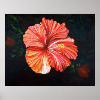 Affiche Hibiscus orange