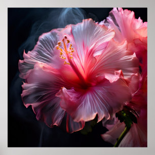 Affiche Hibiscus rose élégant