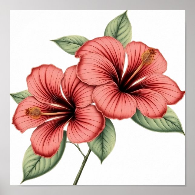 Affiche Hibiscus Vintage (Devant)