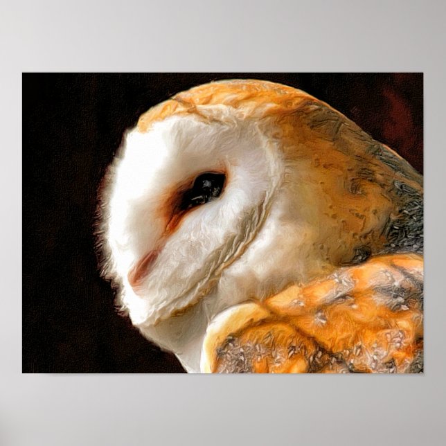 AFFICHE HIBOU (Devant)