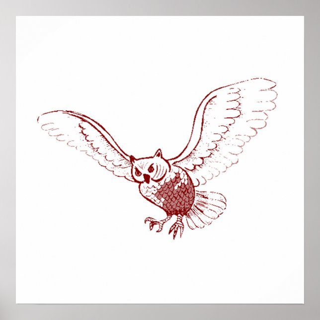 Affiche Hibou (Devant)