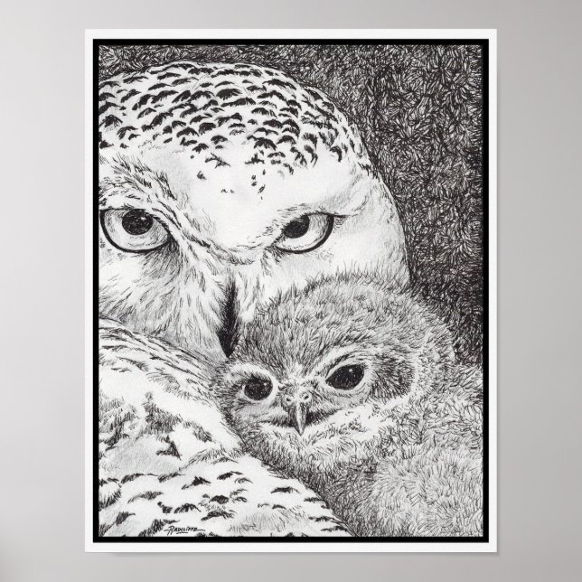 Affiche Hibou blanc et bébé hibou (Devant)
