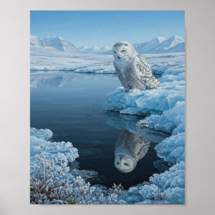 Affiche Hibou blanc perché sur un trou de glace dans un ru