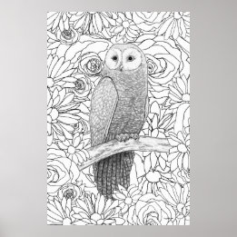Affiche Hibou du soir