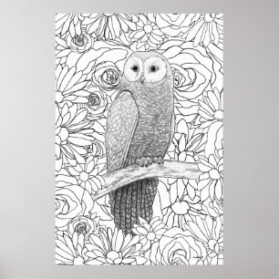 Affiche Hibou du soir