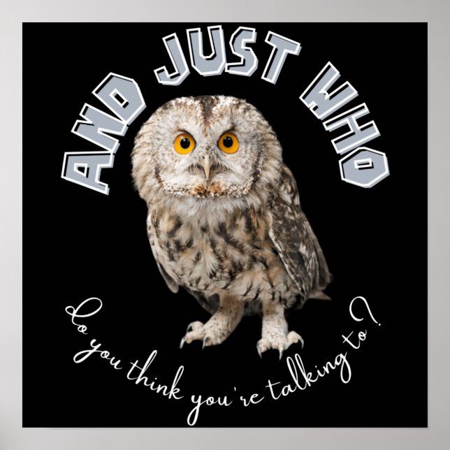 Affiche Hibou : Et à qui pensez-vous exactement parler ? (Devant)