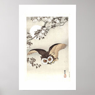 Affiche Hibou petit-duc, Cerisiers en fleurs et Lune