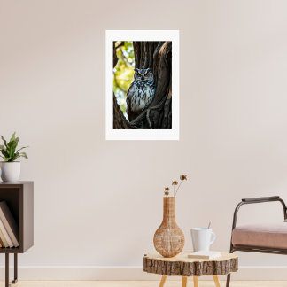 Affiche Hibou se reposant dans l'arbre
