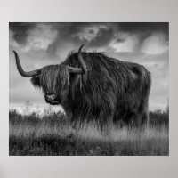 Highland Cow Scotland Russe Brown monotone Post
