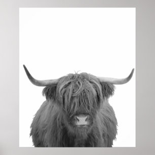 Affiche Highland Cow Scotland Russe Noir Blanc