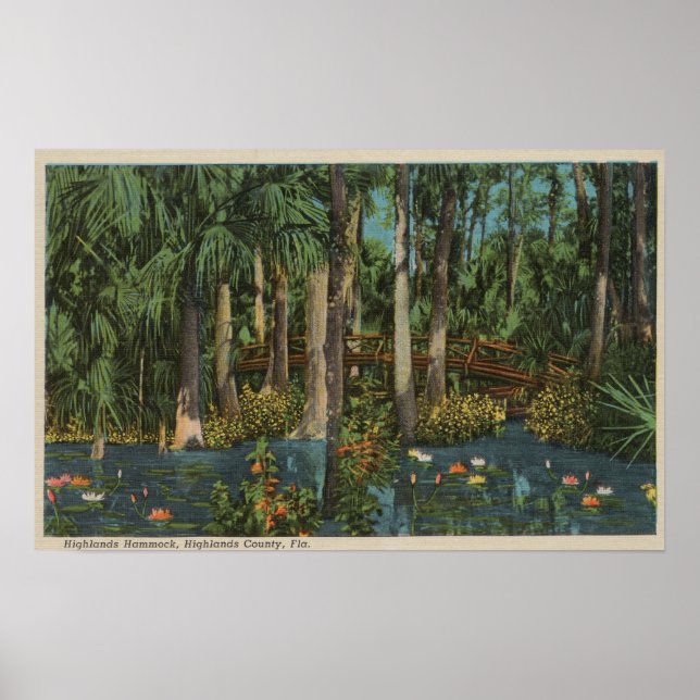 Affiche Highlands County, FL - Vue sur Highlands Hammock (Devant)