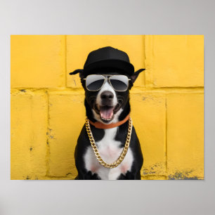 Affiche Hip hop Dog Star dans Casquette branché et chaîne