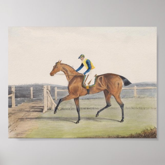 Affiche Hippocampe britannique (La Duchesse) (Devant)