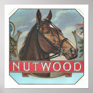 Affiche Hippocampe Vintage célèbre de Nutwood