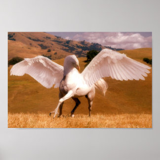 Affiche Hippogriff