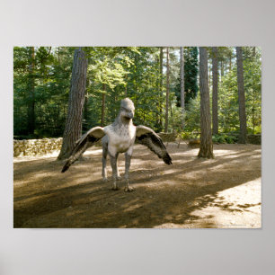 Affiche hippogriffe