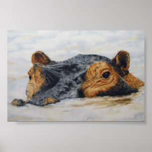 Affiche hippopotame
