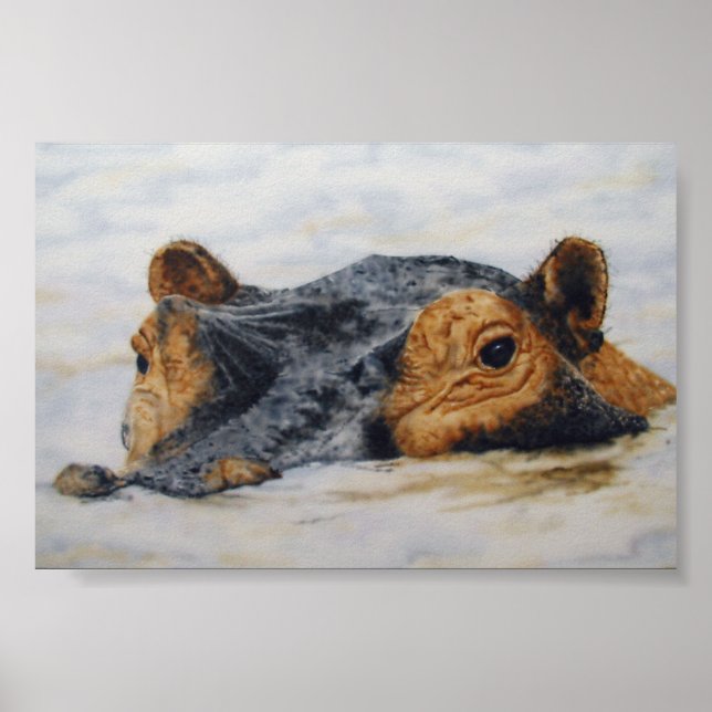 Affiche hippopotame (Devant)