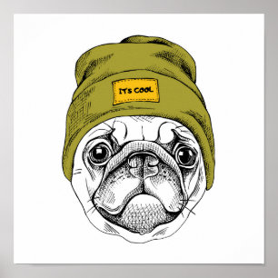 Affiche Hipster Pug   It's Cool