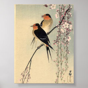Affiche hirondelles aux fleurs de cerisiers - Ohara Koson