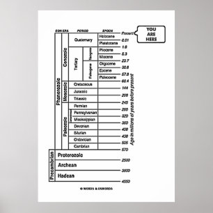 Affiche Histoire de la Terre