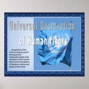 Affiche Histoire, Droits humains, Déclaration