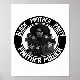 Affiche Histoire noire Parti Panthère Afro Droits Civils 1