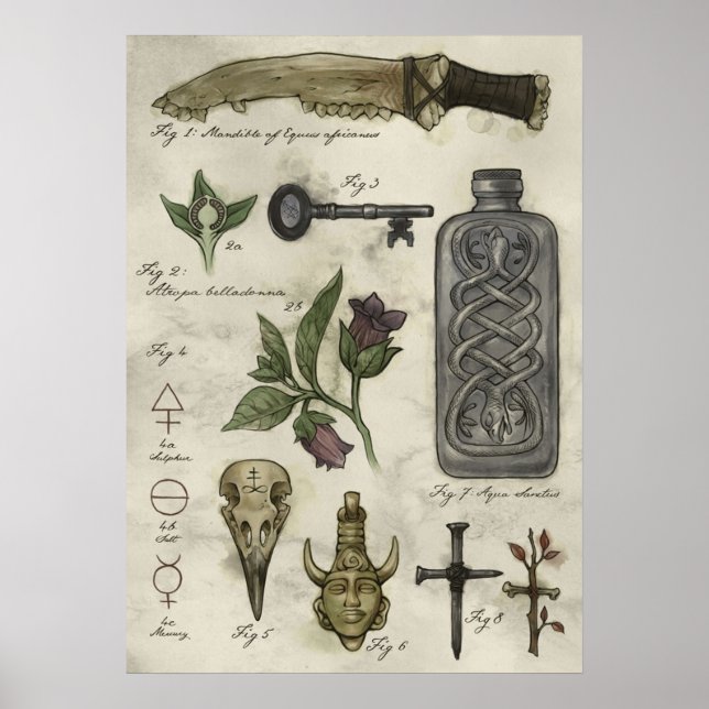 Affiche Histoire Surnaturelle  Chasseurs d'artefacts (Devant)