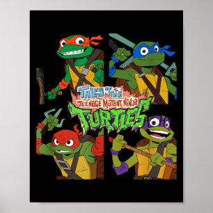 Affiche Histoires des Tortues Ninja Mutantes nage Box Up