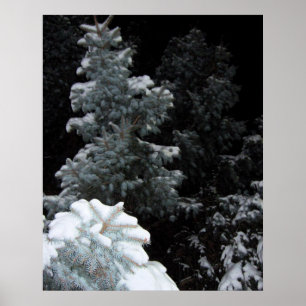 Affiche Hiver