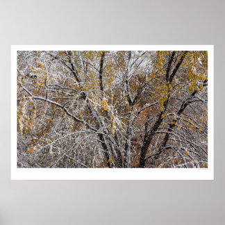 Affiche Hiver