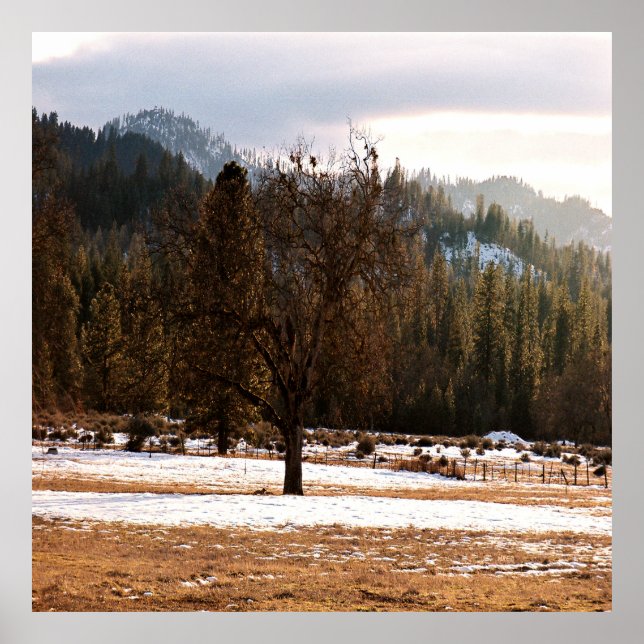 Affiche Hiver....... (Devant)